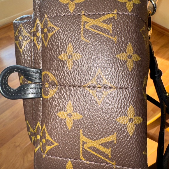 Louis Vuitton Palm Springs PM - Picture 8 of 15